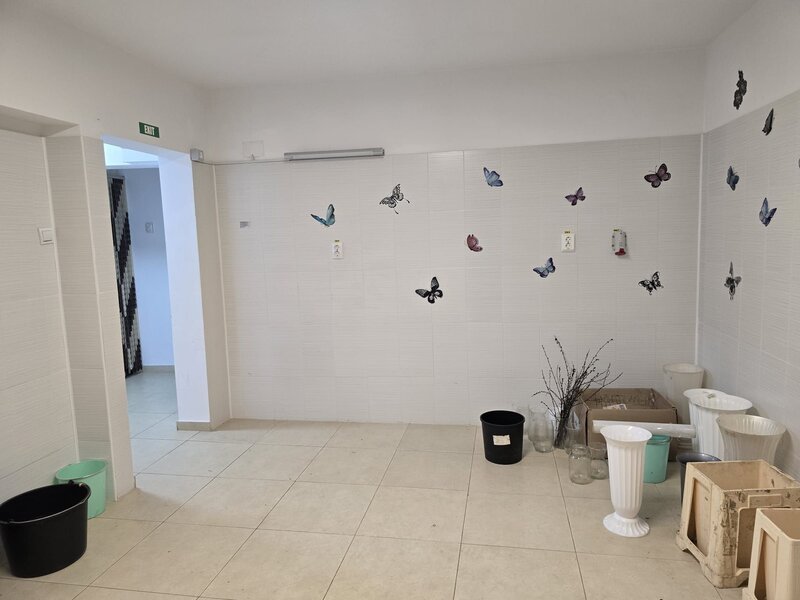 Spatiu comercial ideal pentru afaceri de succes!